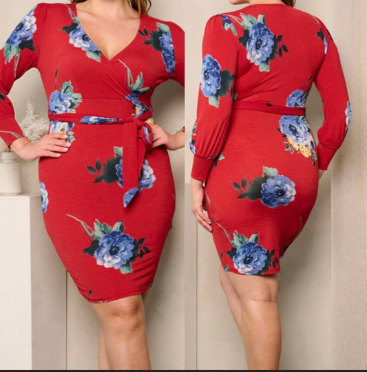 Rosy Mini Dress ~Plus Size